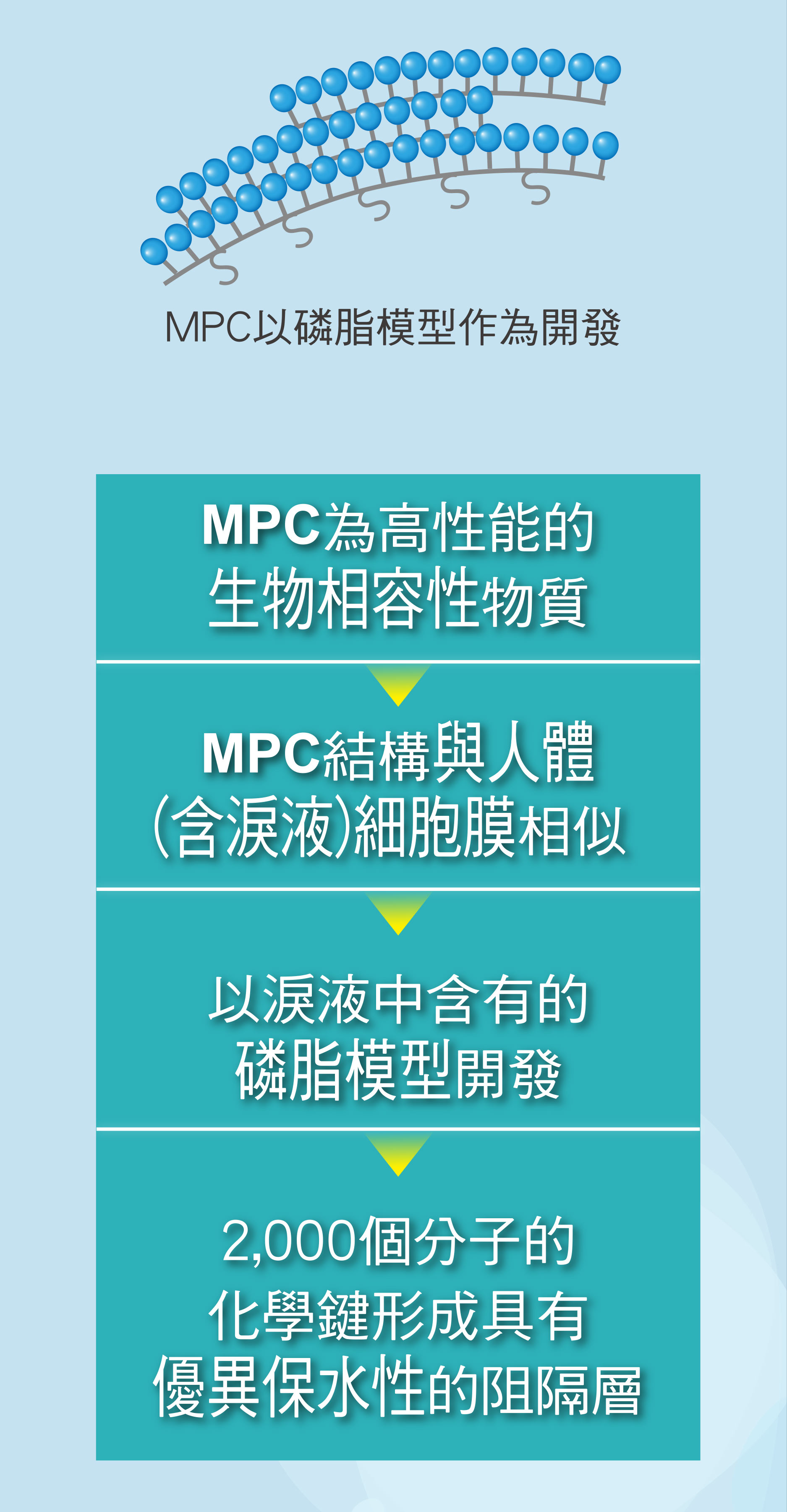MPC以磷脂模型作為開發 MPC為高性能的生物相容性物質 MPC結構與人體(含淚液)細胞膜相似 以淚液中含有的磷脂模型開發 2,000個分子的化學鍵形成具有優異保水性的阻隔層
